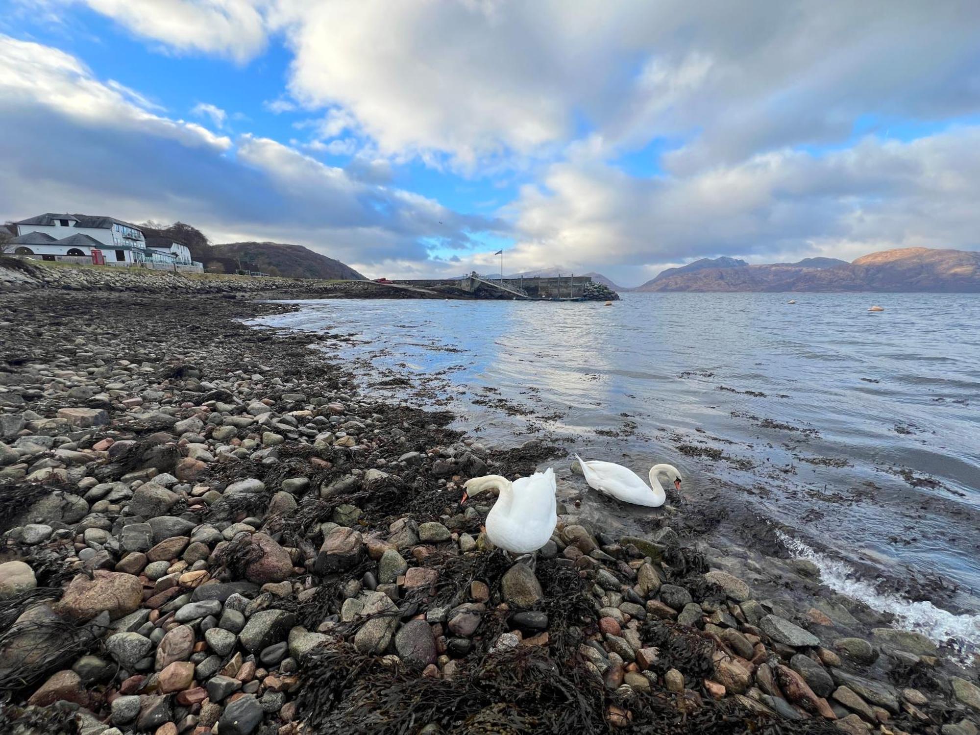 Beach Houses With Hot Tubs Glencoe Dış mekan fotoğraf